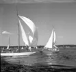 SM i segling. 1946