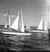 SM i segling. 1946