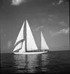SM i segling. 1946