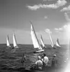 SM i segling. 1946