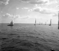 SM i segling. 1946