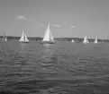 SM i segling. 1946