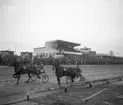 Jubileumsloppet, travet 27/4 1946.

Segrare nummer. 9 