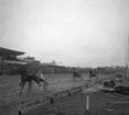 Jubileumsloppet, travet 27/4 1946.

Segrare nummer. 9 