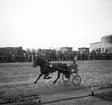 Jubileumsloppet, travet 27/4 1946.

Segrare nummer. 9 
