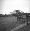 Amatörloppet, travet 14/4 1946.