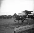 Amatörloppet, travet 14/4 1946.