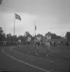 Landskapleken i allmän idrott,
Gästrikland - Uppland. 1946
