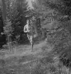 Landskapsmatchen i orientering mellan Gästrikland och Uppland.
1946