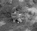 Landskapsmatchen i orientering mellan Gästrikland och Uppland.
1946