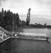 Simhoppare Jarlvik. Sandviken