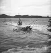 Isvak. 1946