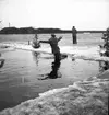 Isvak. 1946
