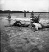 Isvak. 1946
