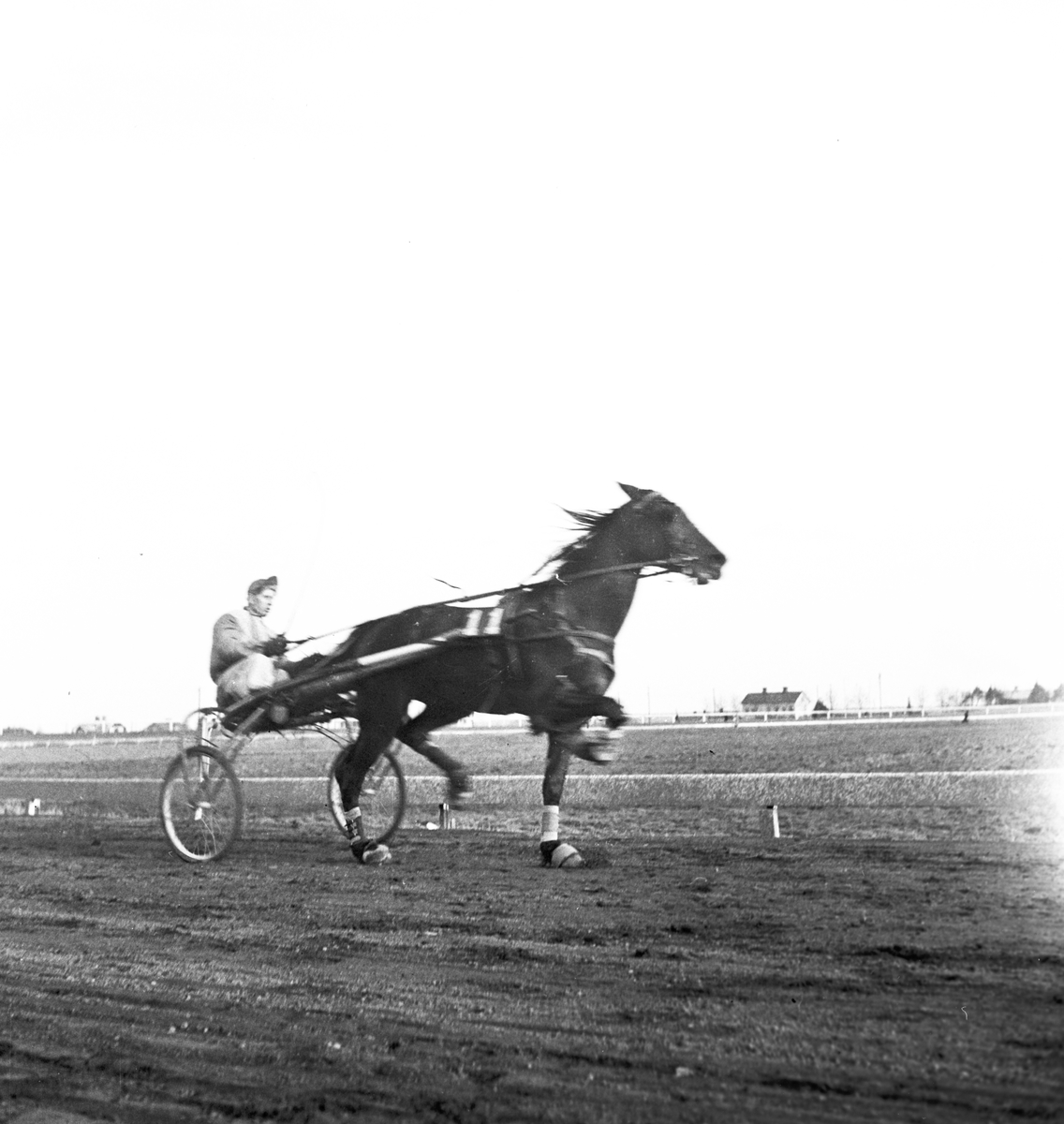 "Bullvar" Ägare: Per Larsson och Bodström. 1943