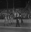 Svenska Flaggans Dag. 1943