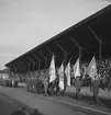 Svenska Flaggans Dag. 1943