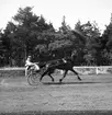 Amatörloppet. 1943