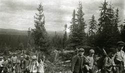 Skoleunger (i Galåsen) på skogplanting. Først kommer en grup