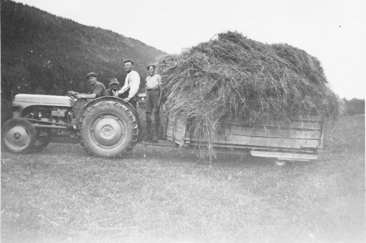 Traktor, tilhenger, høy, personer. 