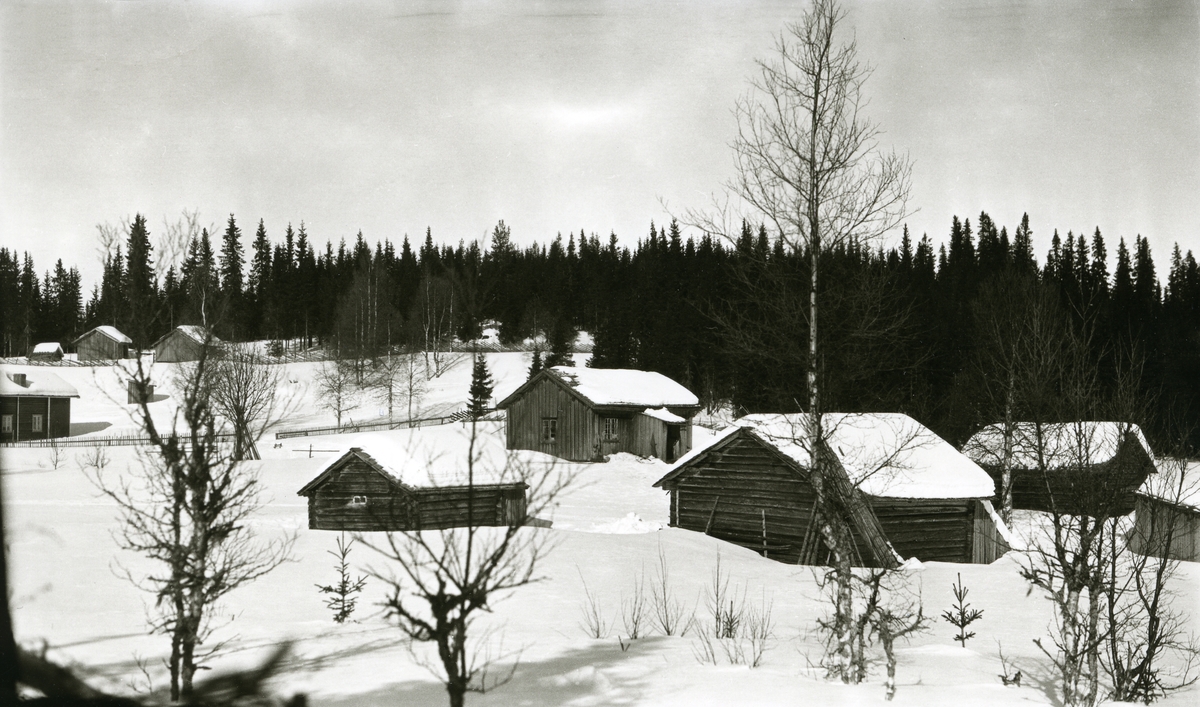 Lita stue, flere uthus rundt omkring. Gardstun. Børes, Langtjernåsen.