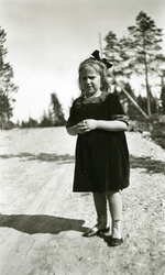 Älvdalens Finnmark, Sverige