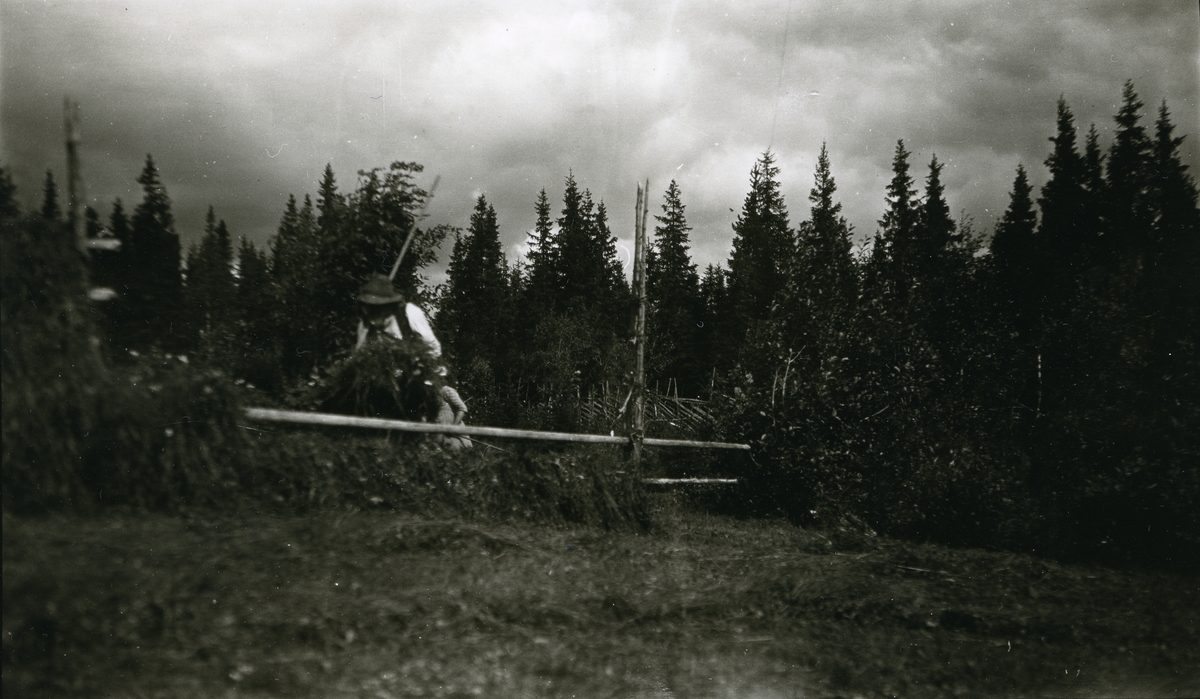 Ljøstad-Børe  (13/9 1827 - 19/3 1925) (Børe Gjermundsen Langtjernåsen). Granvold (Børes), Langtjønnåsen.