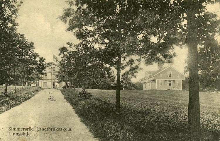 Enligt Bengt Lundins noteringar: "Simmeröds Landtbruksskola. 1907-1921. Rektor under denna tid var J.F. Hallborg. Ljungskile".