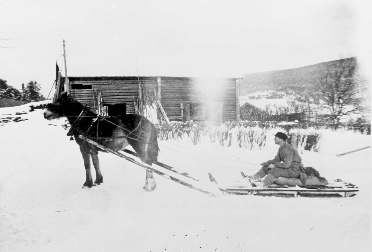 Hest, slede, person, låvebygning. 