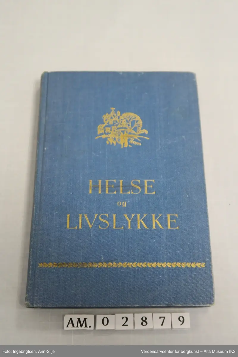 Bok med blå perm. På forsiden er det et motiv av et hus med et stort tre i bakgrunnen, og et par som går mot huset.