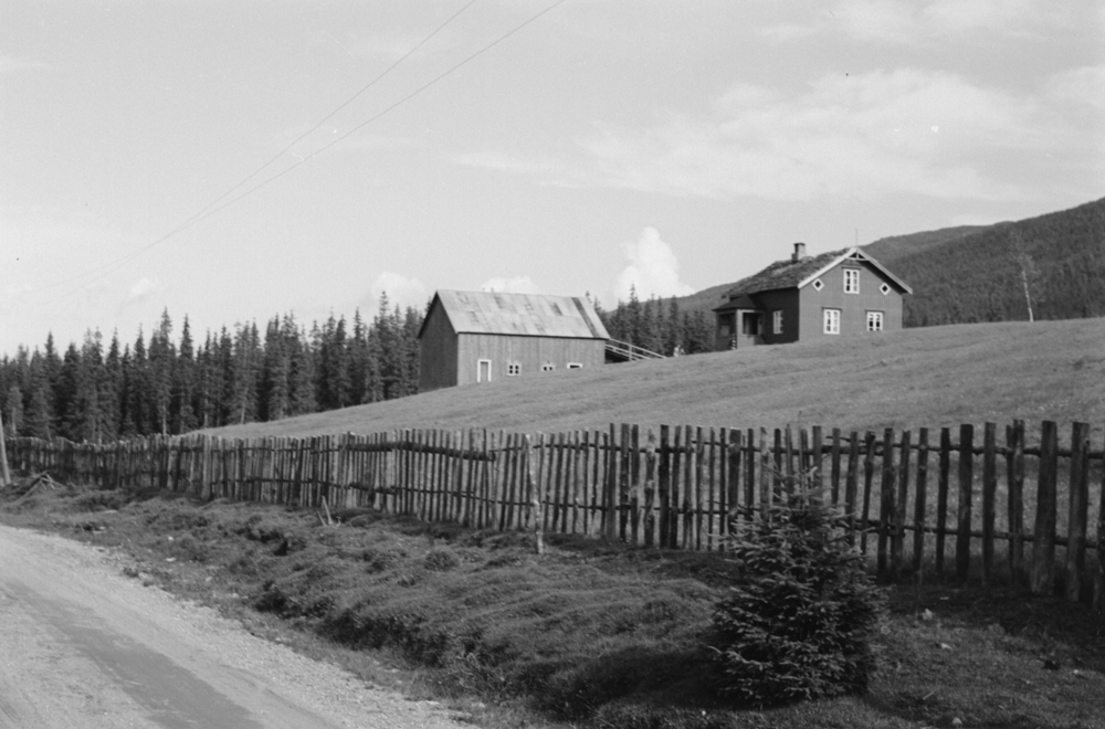 Fjøs og hus.