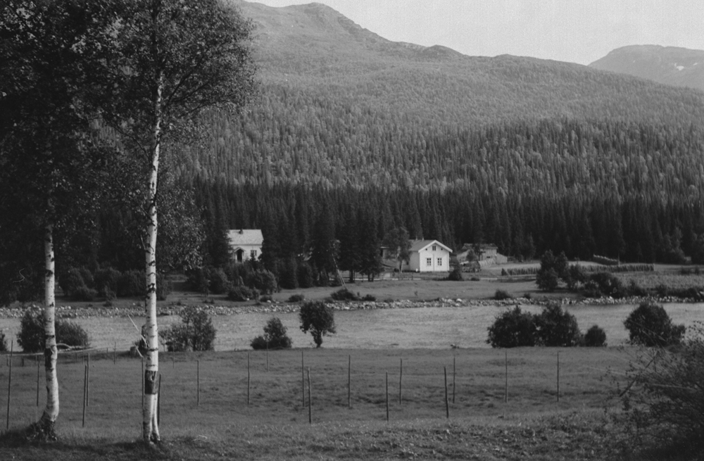 Over elva huset til høyre er skolen i Svenningdal. 
Den er revet nå.