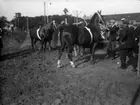 Lantbruksmöte 1931. Visning av hästar medmera. Hästar Möllerup.