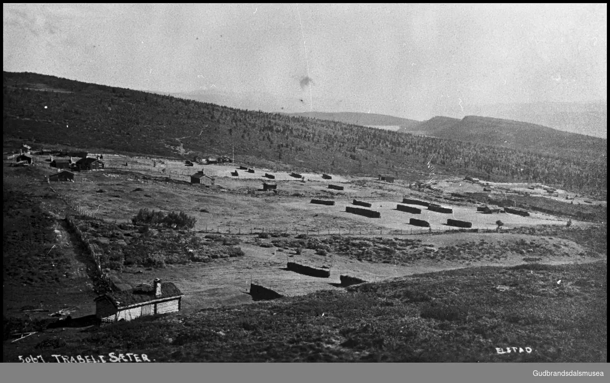 "Trabelia" ca 1930 Venabygdsfjellet i Ringebu