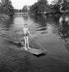 Surfing i Svartån.
Juli 1956.