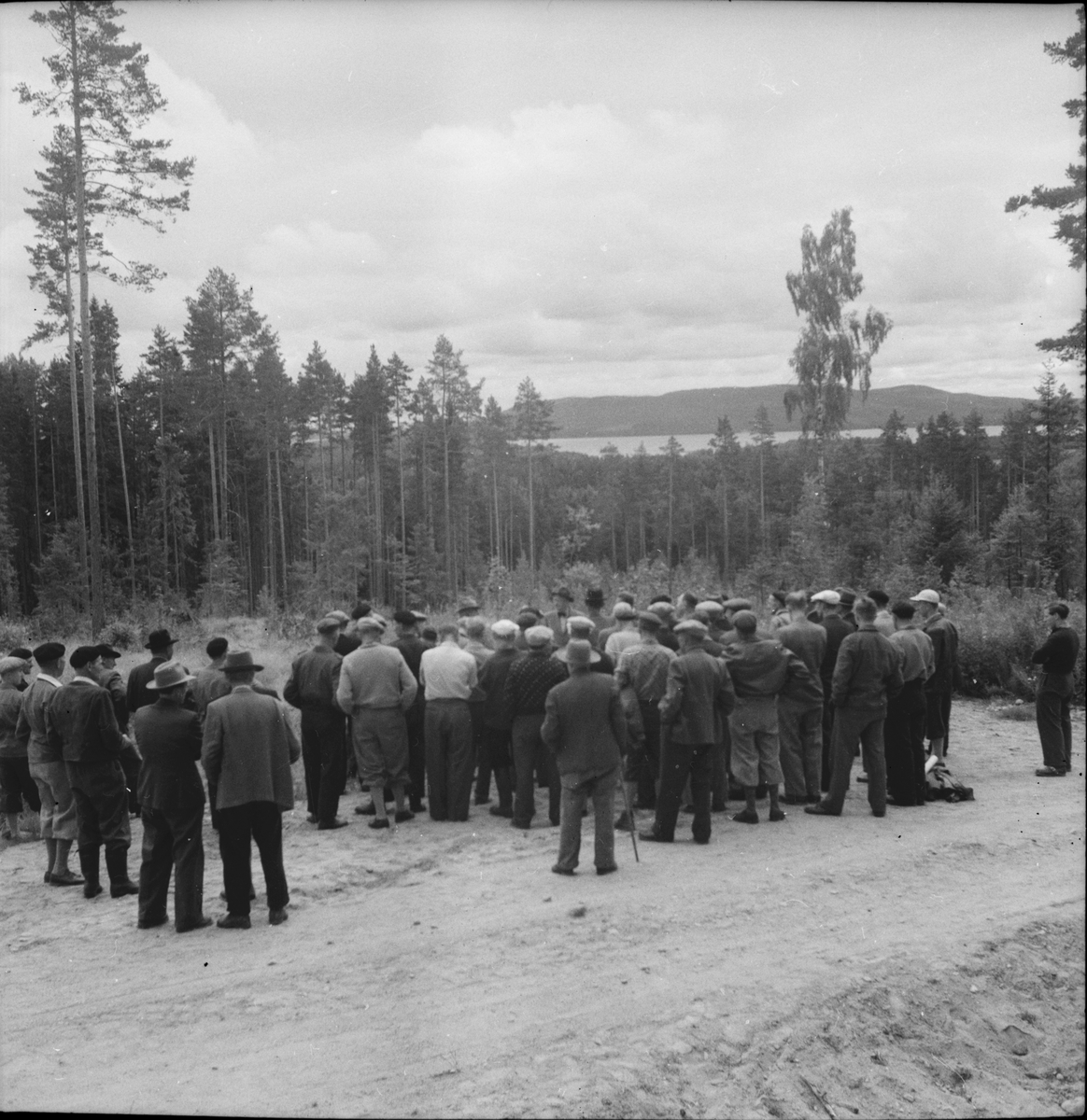 Skogsdag i Segersta.
