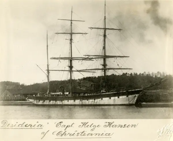 Bark 'Desideria' (b.1880, A. & f. Smith (Martin Eldrup), Tan