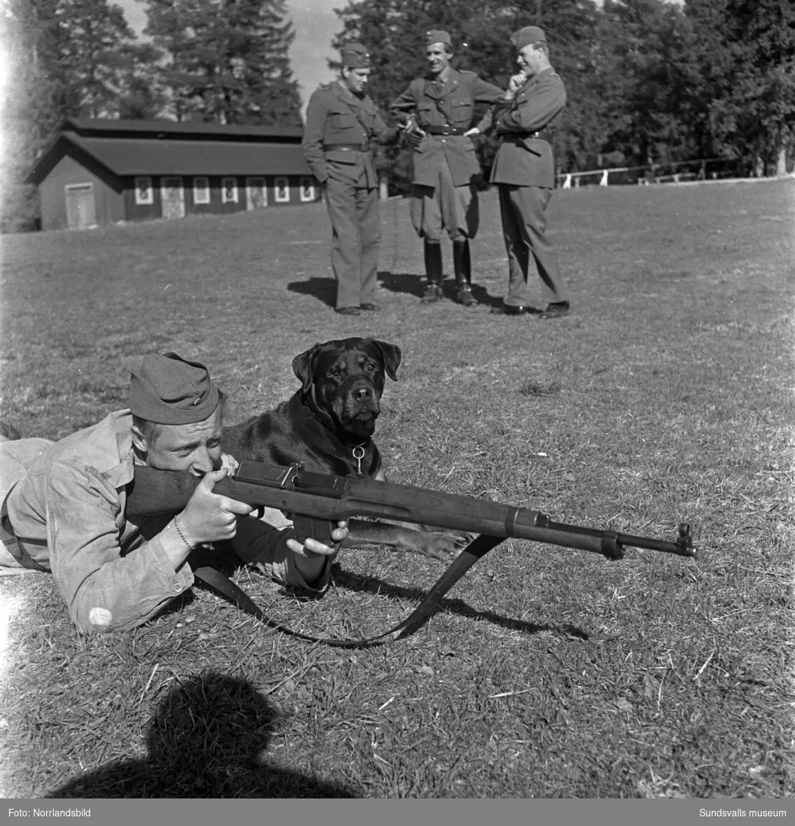 En grupp bilder från verksamheten på Arméns hundskola i Sollefteå.