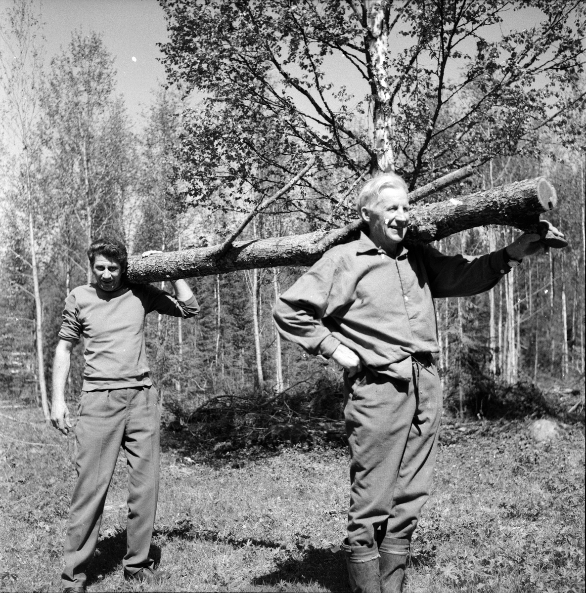 Dalsjön,
Städning och röjning,
Maj 1973