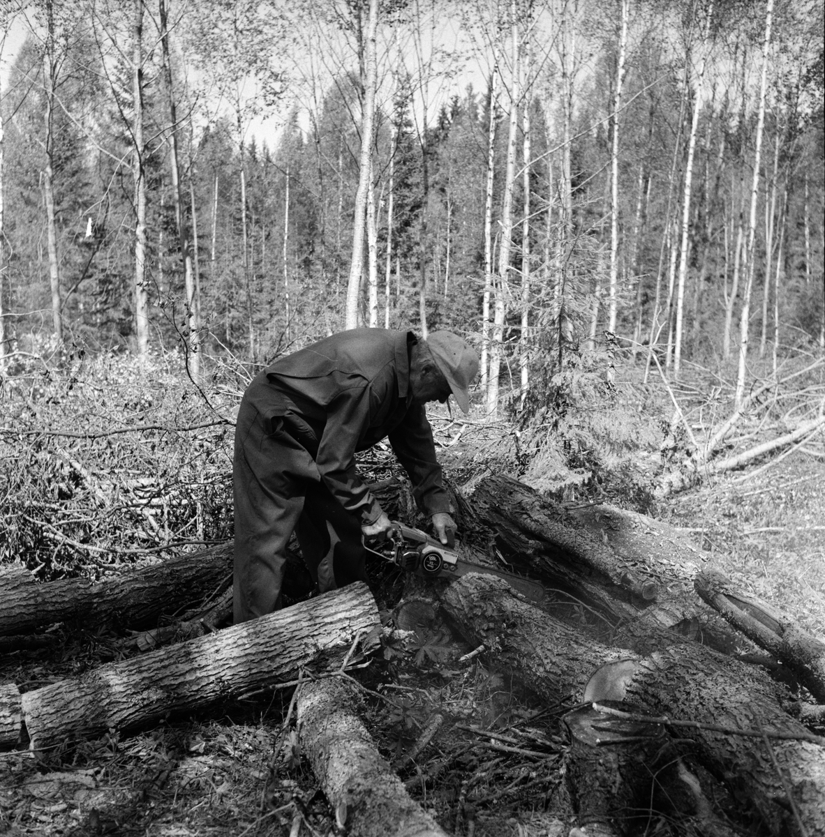 Dalsjön,
Städning och röjning,
Maj 1973
