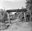 Galven,
Skolan m.fl. hus,
Juli 1971