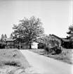 Arbrå,
Tomta gård,
Juni 1971