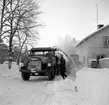 Snöslunga,
21 December 1965