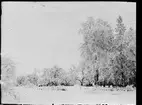 Vinter, Östhammar, Uppland