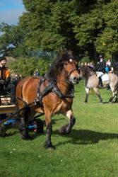 Hästfesten på Tyresö slott med konferencier Owe Sandström, S