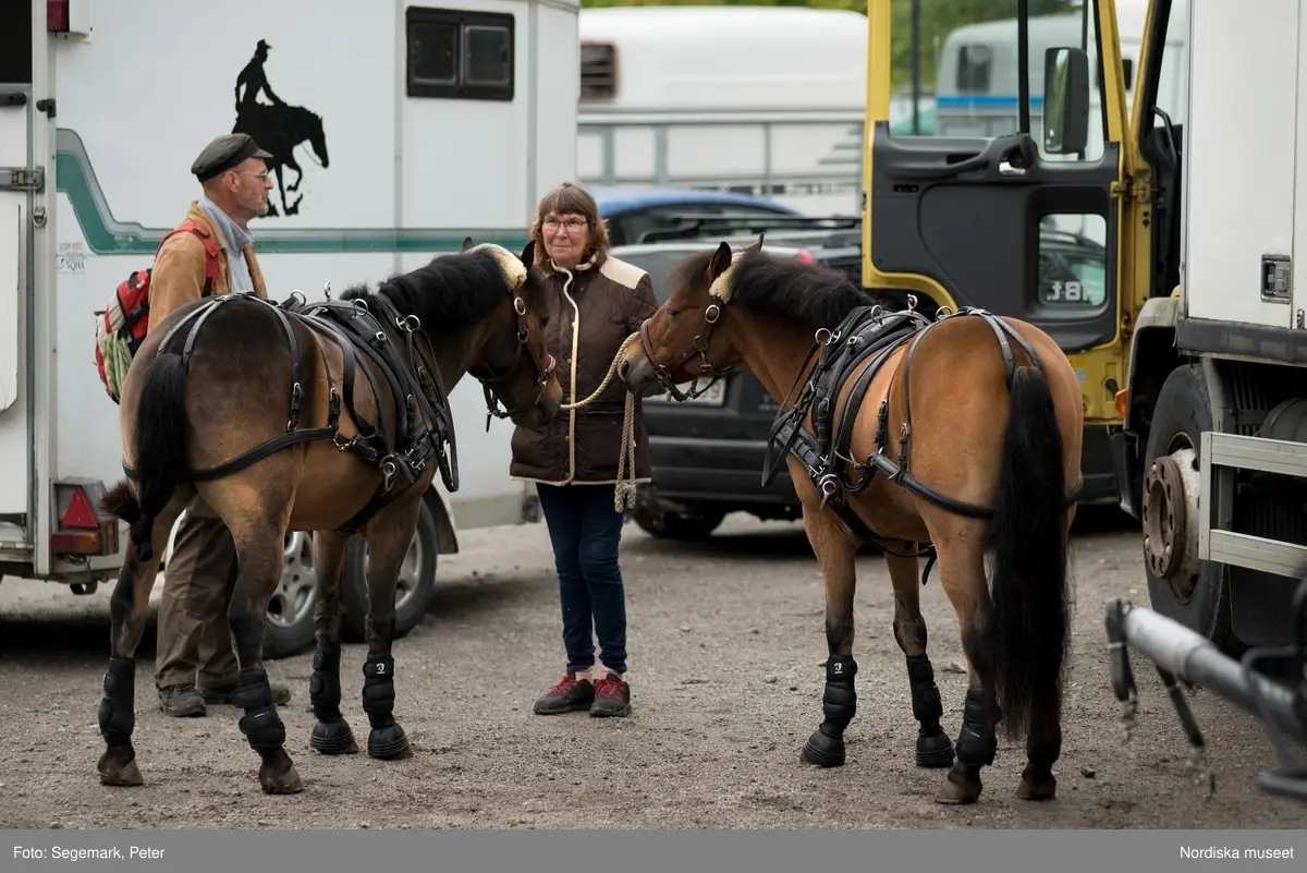 Hästfesten på Tyresö slott med konferencier Owe Sandström, Slottshästen. Hästar, ryttare och ekipage med vagn eller käpphäst tävlar och visar upp sig i parken bland åskådare som besöker evenemanget.