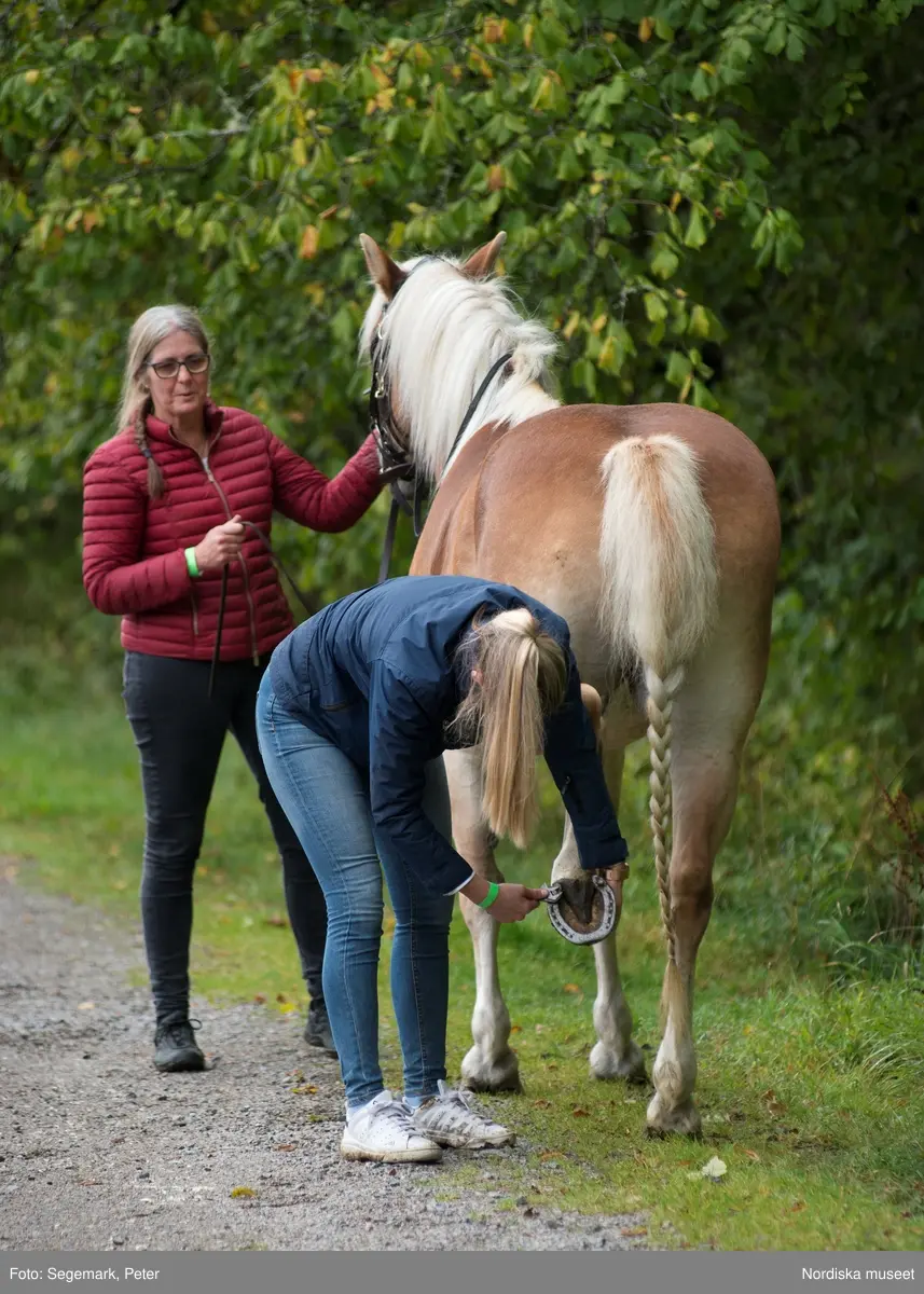 Hästfesten på Tyresö slott med konferencier Owe Sandström, Slottshästen. Hästar, ryttare och ekipage med vagn eller käpphäst tävlar och visar upp sig i parken bland åskådare som besöker evenemanget.