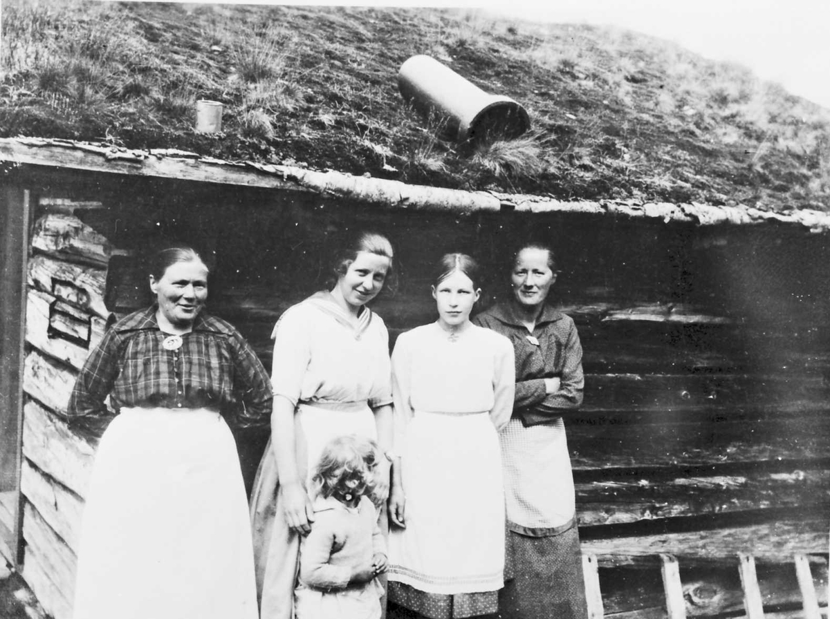 Fra v. Gedine Stakston, Marie Moen, Inga Holtet, Tina Dalen. På Musvollsetra. 