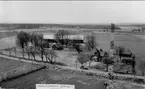 Haraldsgården Gräshult, Karlsborg. Neg finns. Originalet utlånat av John Grönberg, född i Gräshult 1915.