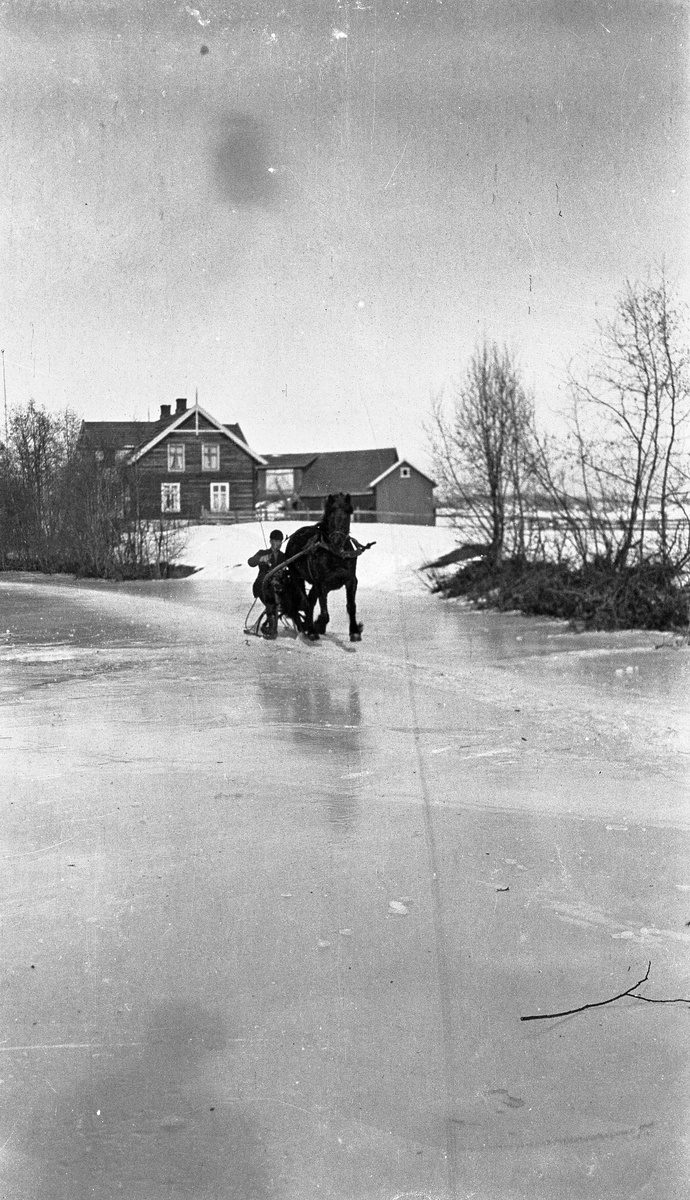 Hesteskyss på elveisen ved Gunnerød/Krabysanden i Østre Toten. Gården i bakgrunnen er Gunnerød.